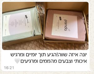 פנדה