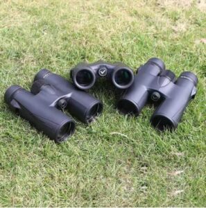 צילום מסך 2026-01-27 131135