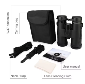 צילום מסך 2026-01-27 131143