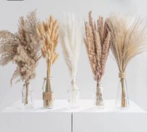 פאמפסים וענפים מלאכותיים