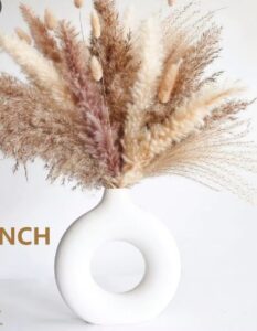 צילום מסך 2026-03-08 152137