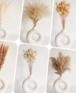 צילום מסך 2026-03-08 152148