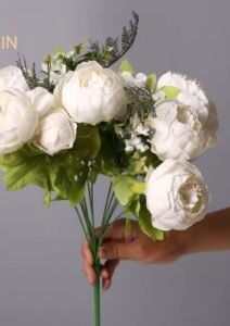 צילום מסך 2026-03-08 153423