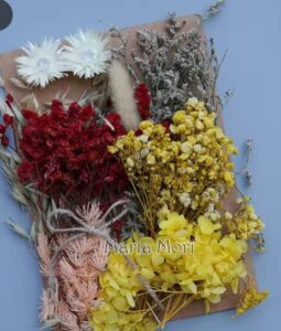 צילום מסך 2026-03-08 161751