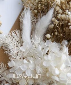 צילום מסך 2026-03-08 161757