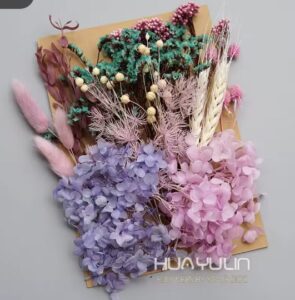 צילום מסך 2026-03-08 161803