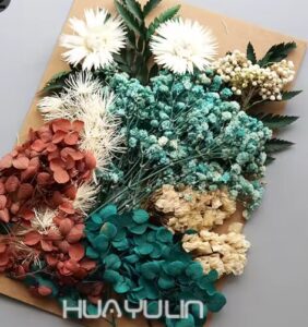 ענפים מיובשים צבעוניים לקישוט ופיזור על השולחן