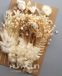 צילום מסך 2026-03-08 161829