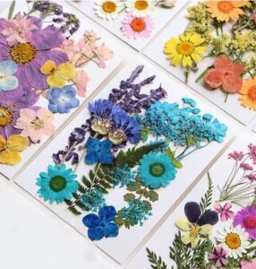 פרחים יבשים לאפוקסי